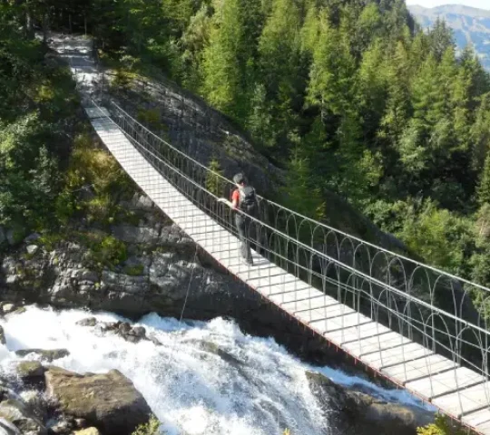 Suspension Bridge
